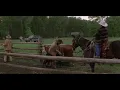 Download Lagu The Horse Whisperer - going to Montana