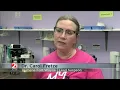 Humane Fort Wayne honors doctor for 100 000 surgeries
