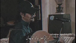 رابح انا فاقد شعور  تصميم  دندنها