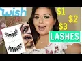 LASHES FROM WISH pt 1 I M SHOOK YOU NEED TO CHECK OUT