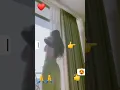 Download Lagu hi garmi Full Xxx total seky video  O my good short video seky video Full HD