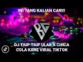 Download Lagu DJ TIUP TIUP ULAR X CHICA LOCA KANE VIRAL TIKTOK VIRAL 2023 SOUND MENGKANE