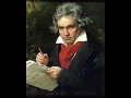 Beethoven - Piano Sonata No. 1 in F minor Op. 2 No. 1 - IV, Prestissimo