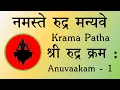 Download Lagu NAMASTE Rudra Manyave | SRI RUDRA Krama Patha | Anuvakam 1 | Yajur Veda | Sri K Suresh