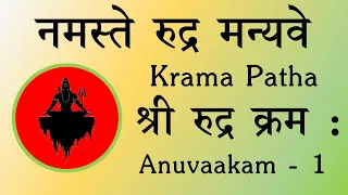 NAMASTE Rudra Manyave - SRI RUDRA Krama Patha - BhaktiSagar Devotional
