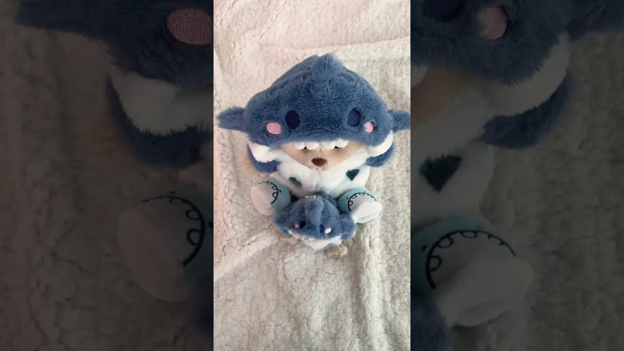 Teddy Bear & Blue Shark Set - 12 Inches