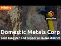 Geologist Peter Megaw Domestic Metals Smart Creek sits in gold-tungsten elephant country