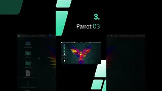 The Top 5 Distros for Hacking