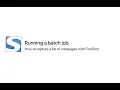 Batch mode in FireShot - how to automatically capture a list of URLs with FireShot