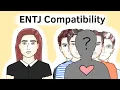 ENTJ Relationships What Types are Romantically Compatible with ENTJs