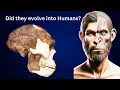 Download Lagu Did Homo Erectus Really Evolve into Modern Humans | Studies and Models Documented