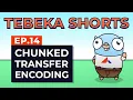 Tebeka Shorts Chunked Transfer Encoding