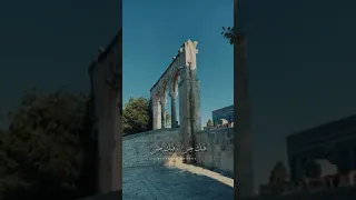 فيك هذا القلب هام 