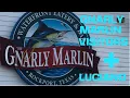 Gnarly Marlin Visitors Luciano