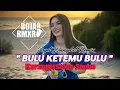 Download Lagu BULU_KETEMU_BULU_|| Joget_Remix_ 2025