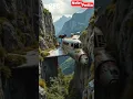 Download Lagu Wild Goats Use Abandoned Plane as Bridge! 💥🐏 #mountaingoat #ibex