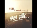 Hadi Gittik