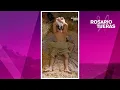 Antonio recuerda a Rosario mientras esta con Sam Rosario Tijeras