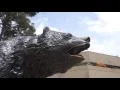 A Day In The Life of A Bruin UCLA