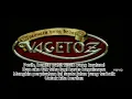 Download Lagu Vagetoz Pahit Karaoke (Musik Original)