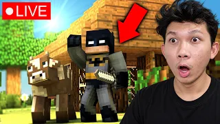 Minecraft and Chill