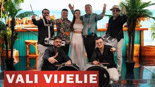 Vali Vijelie ✘ Costelus de la Buzau - La poarta inimii mele