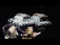 Download Lagu Kylie Minogue - Miss a Thing (Video)