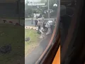 Bystanders rush to help driver after car collides with commuter train