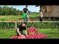 Living in the forest tending to the gardens and harvesting dragon fruit to sell at the market