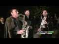 Download Lagu PETRICA NICOARA SI ARMIN NICOARA  ADI TAMAS SI VASILE NICOARA 2017 LA DESA FAMILIA LITA