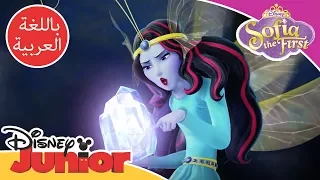 صوفيا الأولى   من هي الفليجل  دندنها