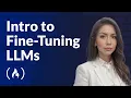 Intro to Fine-Tuning Large Language Models