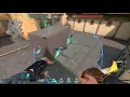 Sova Shock Dart for A-Site Default Plant Haven