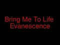 Bring Me To Life- Evanescence (Wolfs Rain)