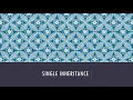 Single Inheritance in C Lecture