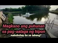 Download Lagu Magkano ang puhunan sa Vannamei farming