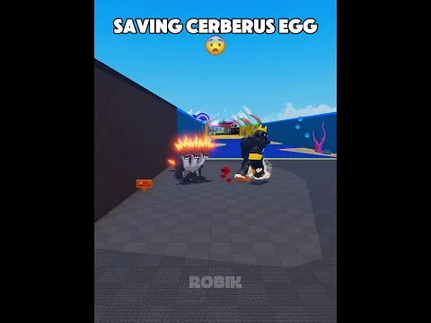 Saving Cerberus Egg π