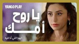 حرب الضراير النارية فيلم الهنا اللي انا فيه كريم محمود عبدالعزيز دينا الشربيني  حرب الضراير النارية فيلم الهنا اللي انا فيه كريم محمود عبدالعزيز دينا الشربيني