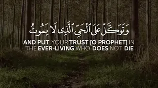 إدريس أبكر صوت يريح قلبك سورة الفرقان حالات واتساب القران حالات واتس دينية 