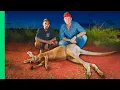 Rare Kangaroo Cooked Underground Aboriginal Earth Oven in Australia