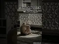 Download Lagu TakbeeR Al TashriK Lo-Fi + Slowed for SleeP/Study Sessions Use Headphones 🎧🖤For DeeP Relaxation 💭🖤