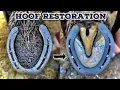 Download Lagu SHIRE HORSE - HOOF RESTORATION - HUGE FEET