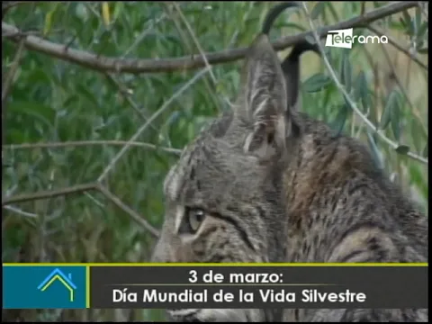 3 de marzo: Día Mundial de la Vida Silvestre