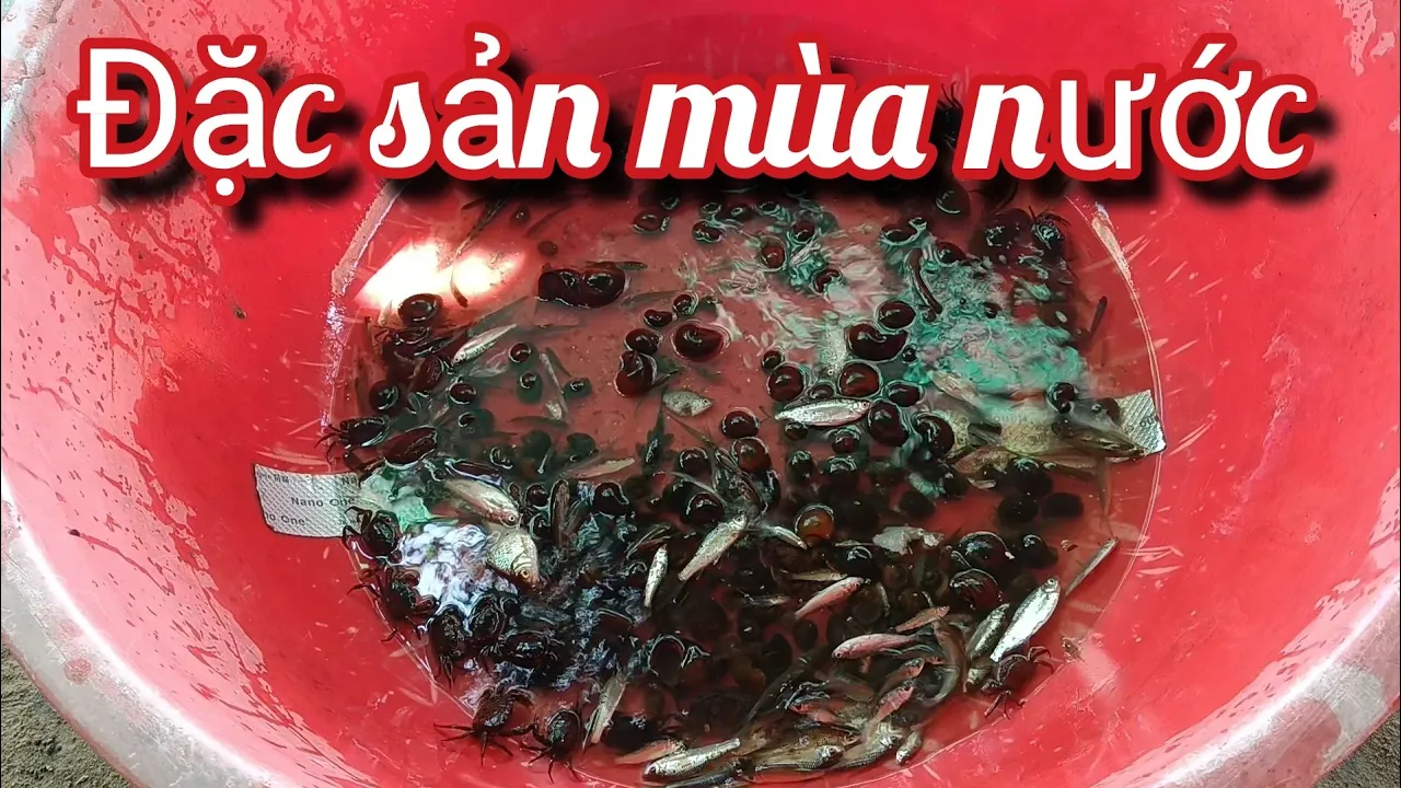 Đặc sản mùa nước nổi 13