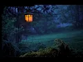 Download Lagu Suasana Malam (Suara Jangkrik \u0026 Burung Hantu) 1 Jam Full