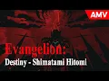 Download Lagu Destiny - Evangelion AMV