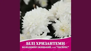 Білі хризантеми 