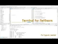Day A new Terminal for NetBeans