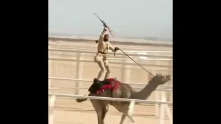 يتحسبونا وردنا الحرب لعابه دندنها