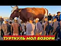 Lagu 1 февраля 2026 г. ТУРТКУЛЬ МОЛ БОЗОР НАРХЛАРИ